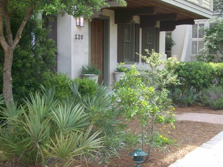 front yard landscaping ideas